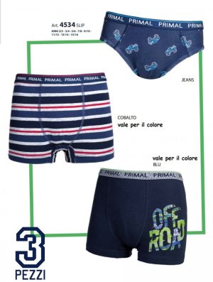 CONF. 3 SLIP B.4534 PRIMAL