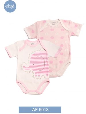 CONF.2 BODY AF5013 co100