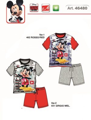 COMPL. B.46480/10 ARNETTA