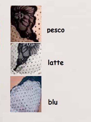 COORD.D.5892 C LORMAR pa88ea12