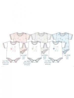 CONF.2 BODY SM AF5319 LP 100co