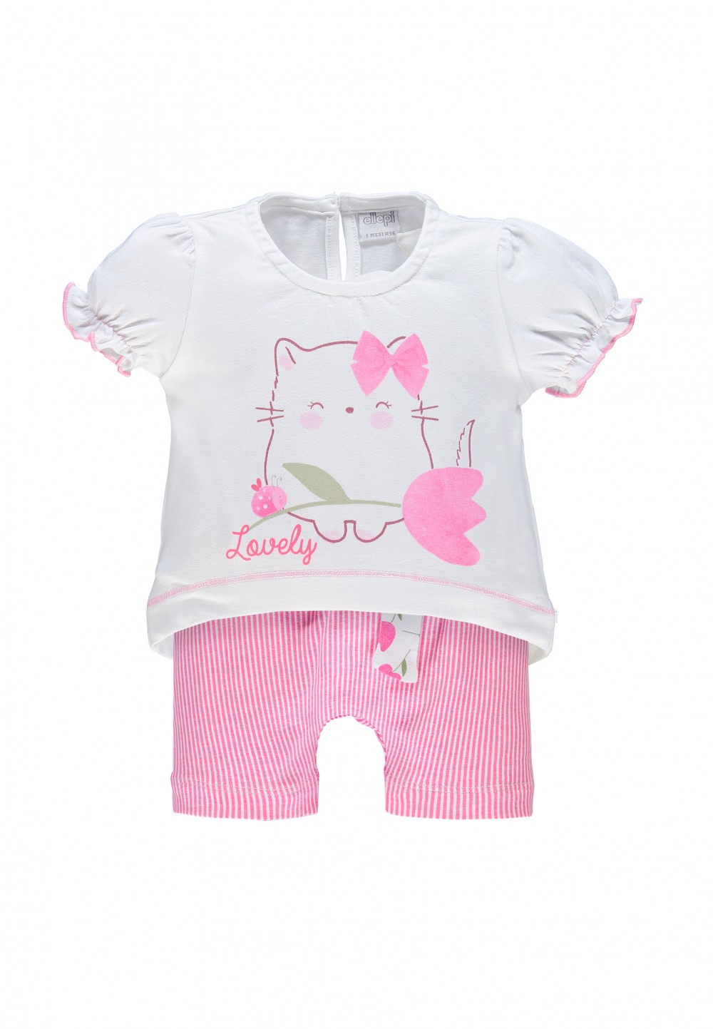 COMPL. B. CO4981 LP 95co5ea - immagine 2