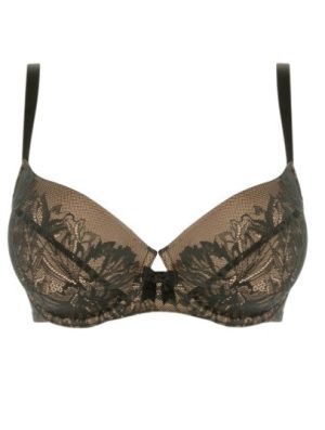 REGG.1079639/D WOLF 68pa20pl12ea