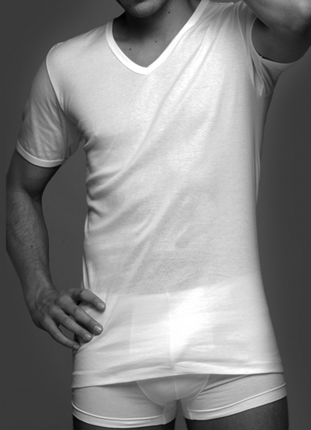 T-SHIRT UOMO a V 1540 LEON FRAGI puro cotone