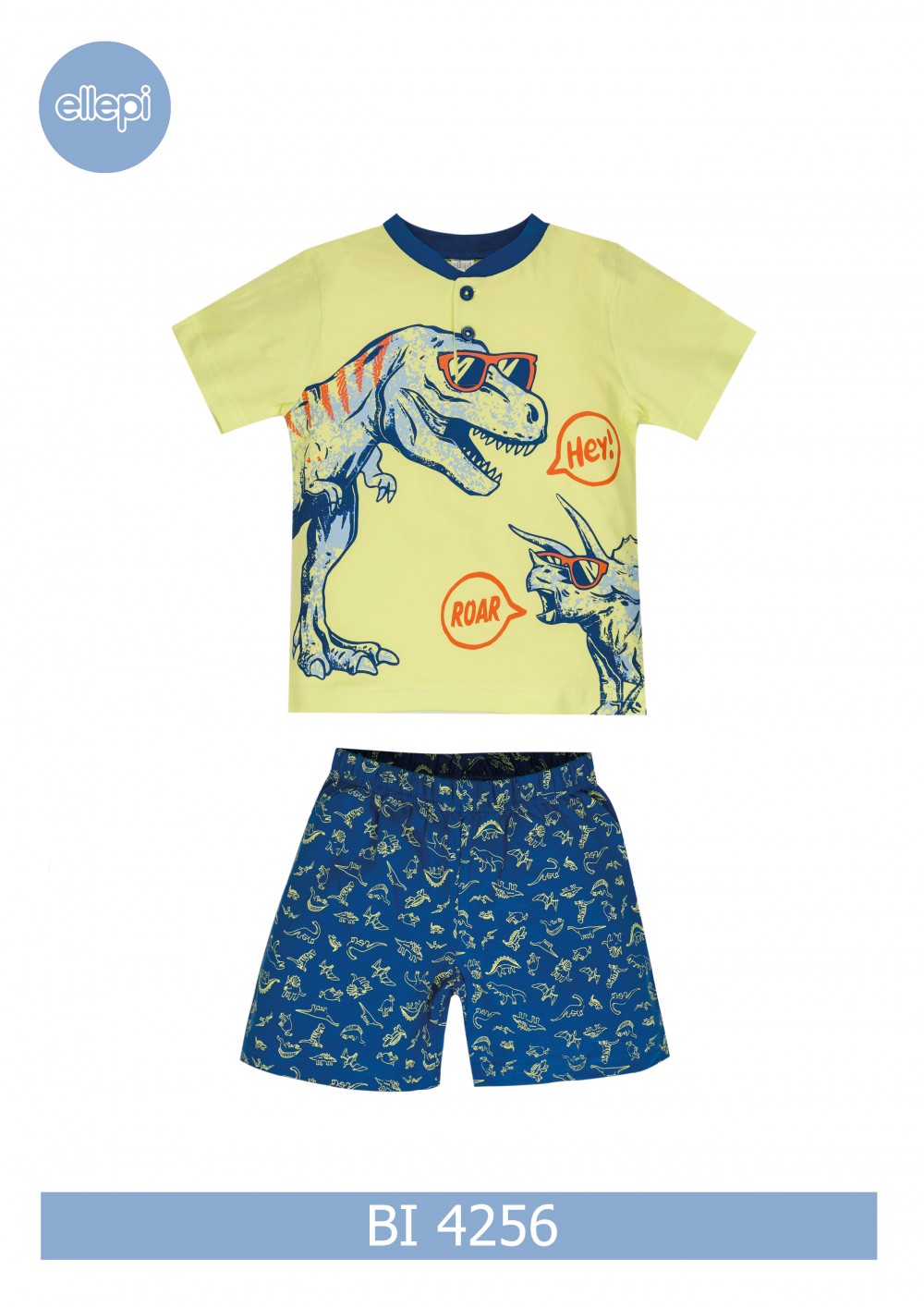 PIG.B.BI4256 LP co100