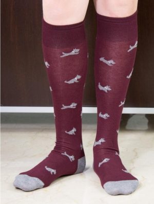 CALZA L.U.HIM060L COCCOLI