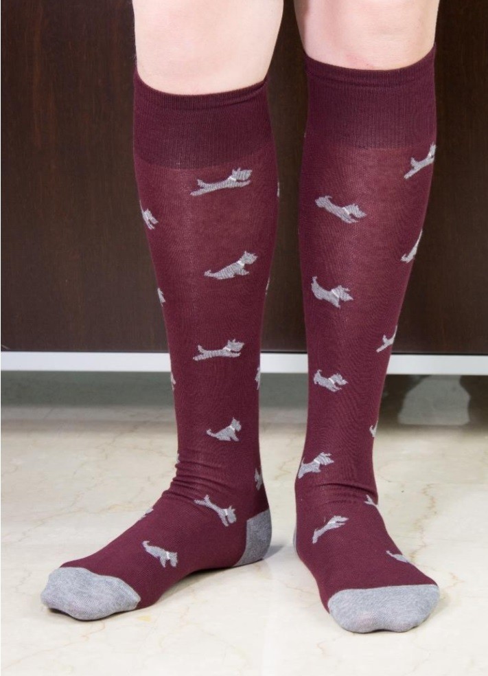 CALZA L.U.HIM060L COCCOLI