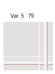 FAZZ.ELBA PESANTE MATTICCHIO - immagine 13