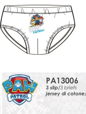 CONF.3 SLIP PA13006 co100