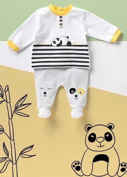 COMPL. B. CO4965 LP 95co5ea - immagine 2