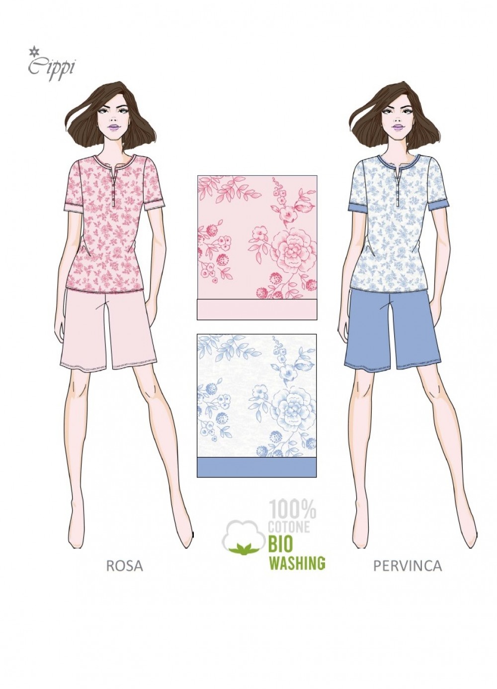 PIG. D. 5700C CIPPI 100co - immagine 2