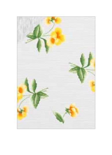 PIG.MM D. 74440 LINCLALOR 100co - immagine 2