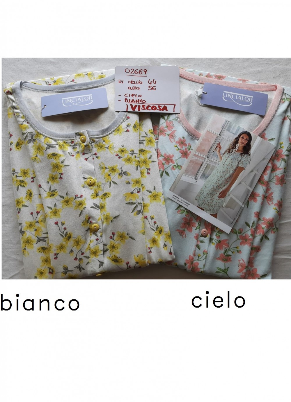 CANOTTE D. 02669 LINCLALOR 100co - immagine 2