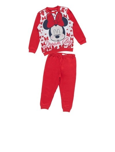 PIG.B.45709S ARNETTA - immagine 2