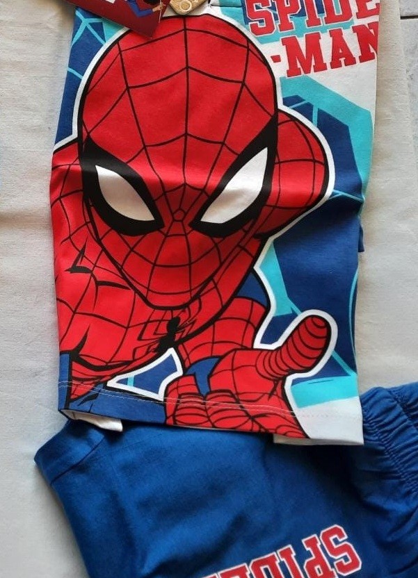 PIG. B. MV40D5105 SPID.100co - immagine 3