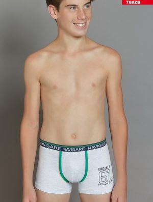 BOXER B. 789ZB NAVIGARE co95ea5