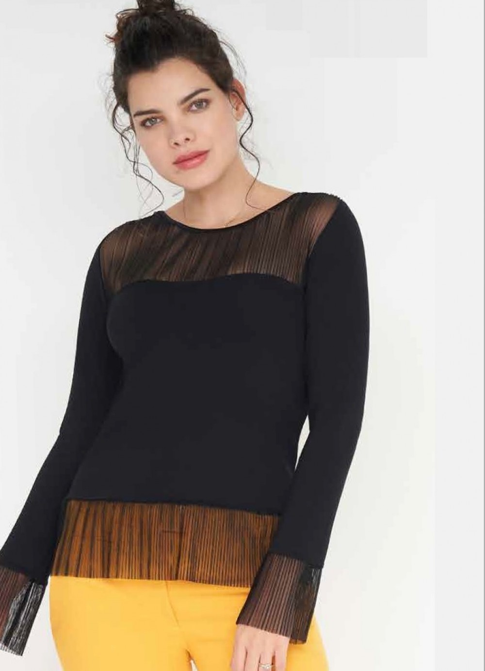 CAM. D. ML 33688 88vi5ea7pl