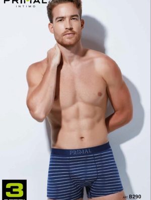 CONF.3 BOXER U.B290 co93ea7 PRIMAL