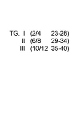 CALZE B.4/511 CIOCCA co82pa17ea1