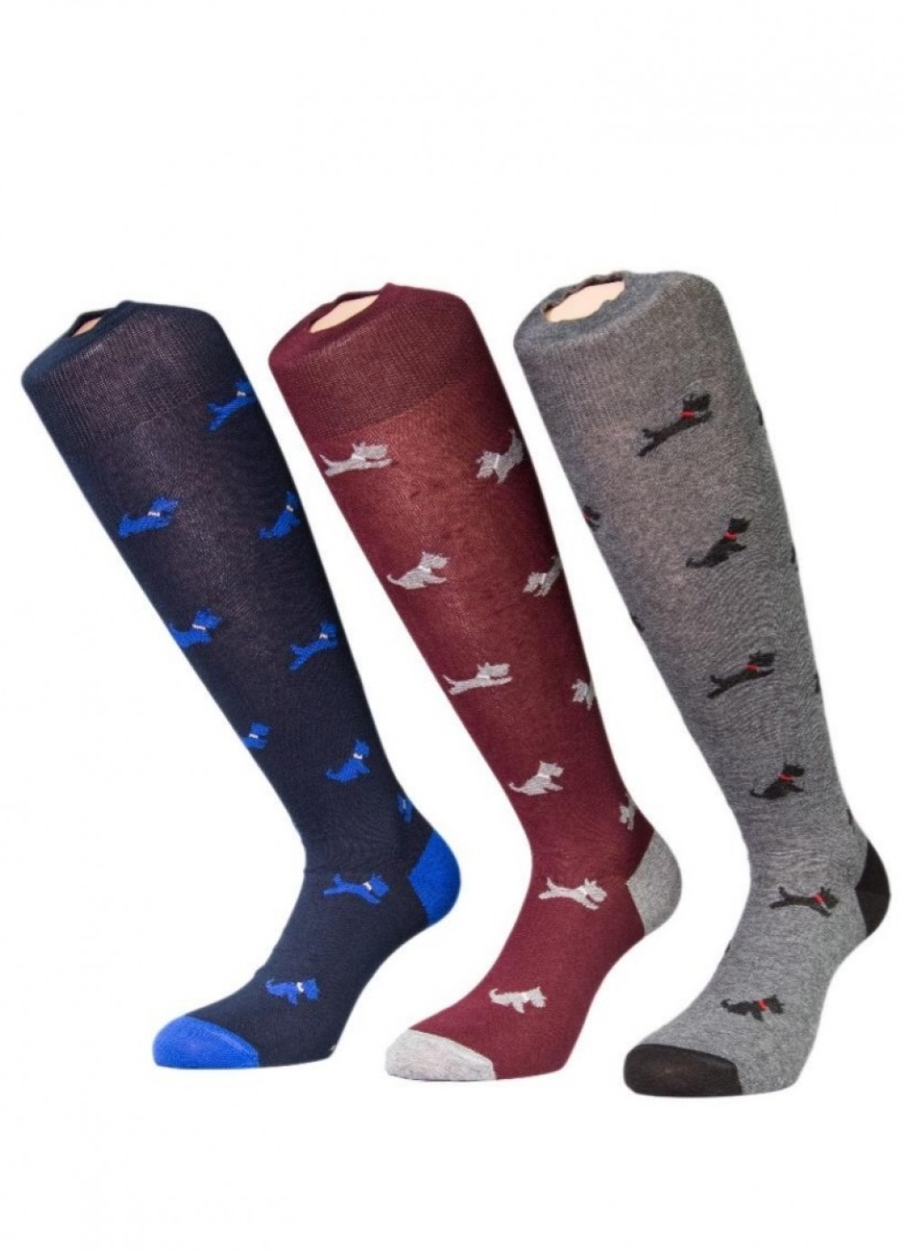 CALZA L.U.HIM060L COCCOLI - immagine 2