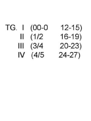CALZE B.3/390 CIOCCA co82pa17ea1