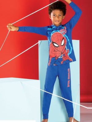 PIG. B. MV40D5105 SPID.100co