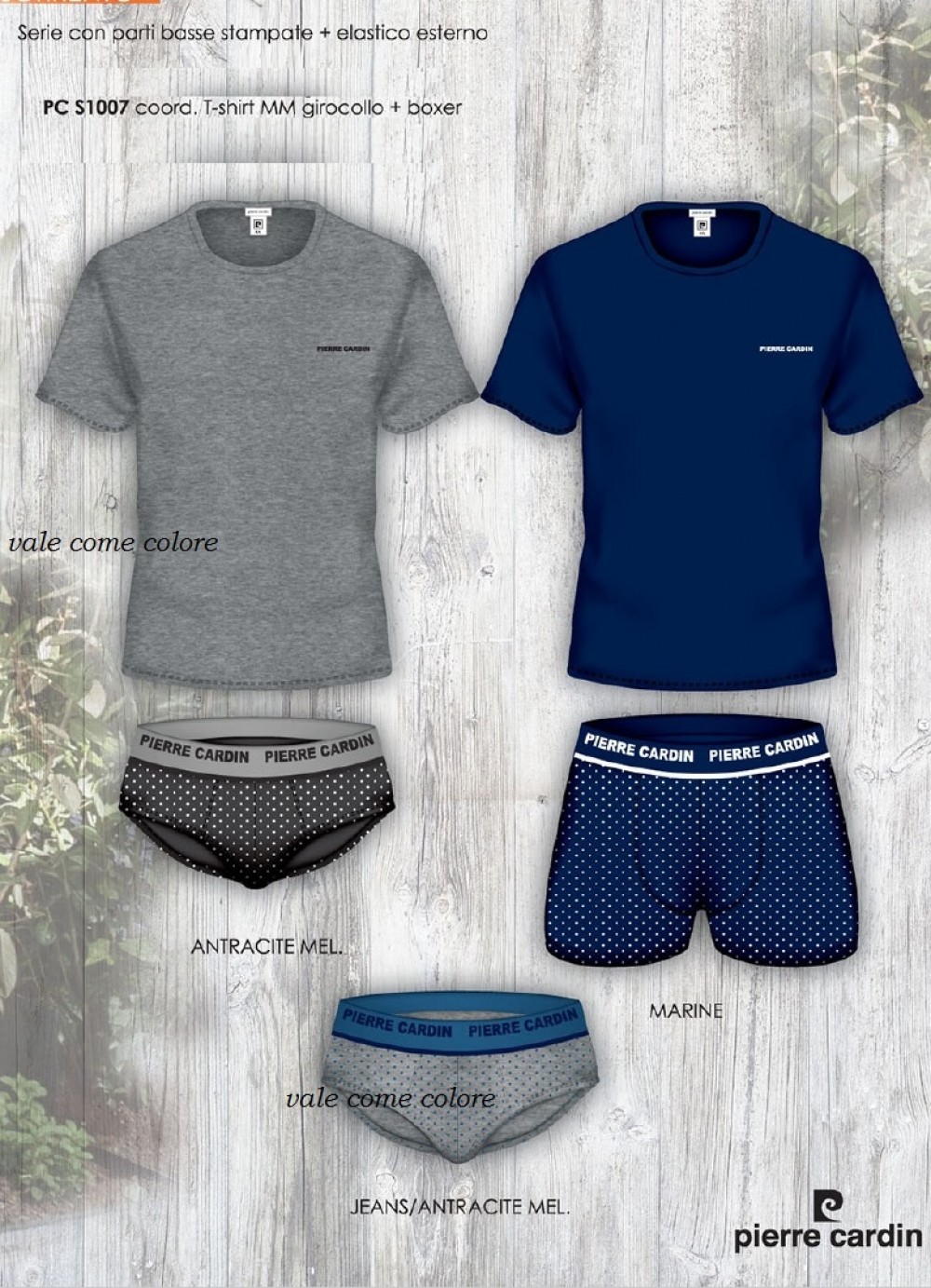 COORD. U. PC S1007 P.CARDIN