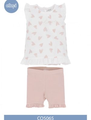 COMPL. B. CO5065 LP 95co5ea